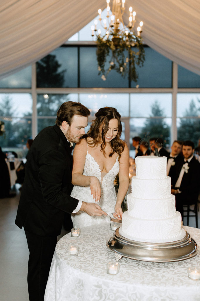 Bride and groom cutting wedding cake